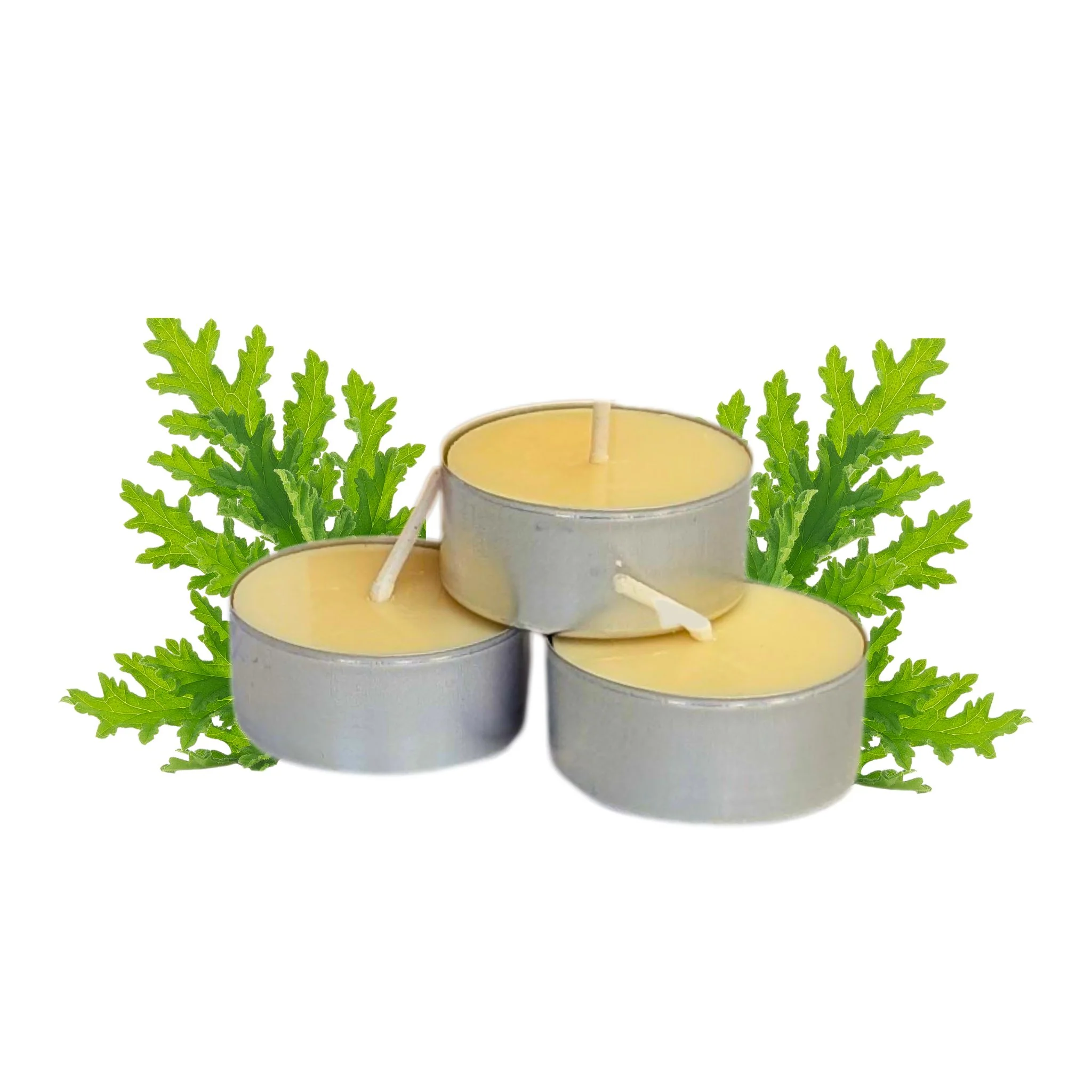 Green Living Essentials